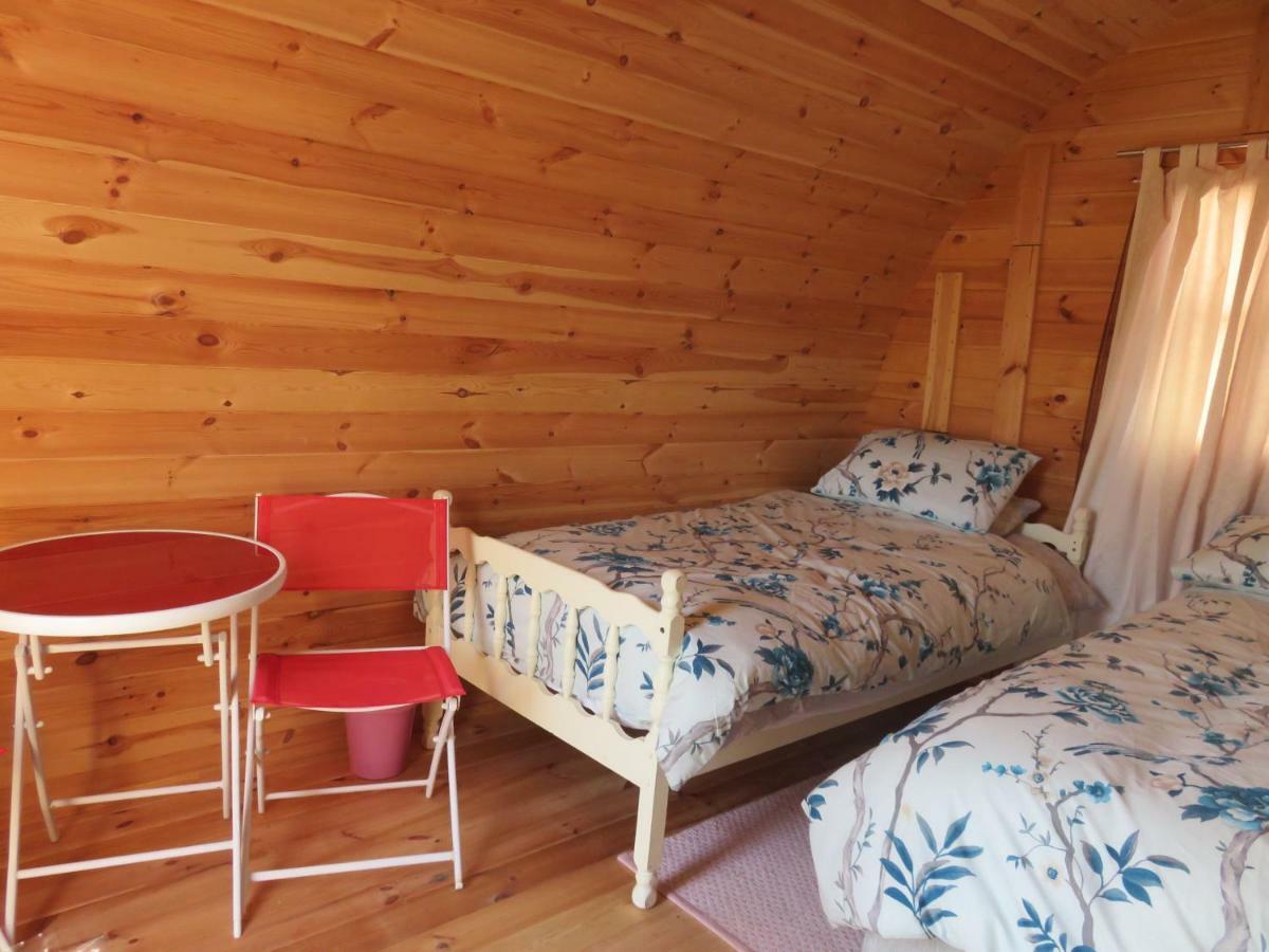 Shannon Estuary Glamping Effernan Exterior photo